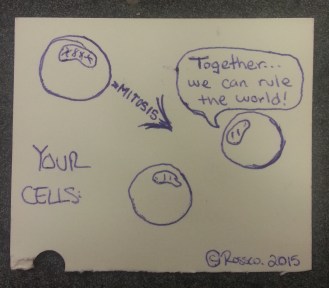 cell1andCell2